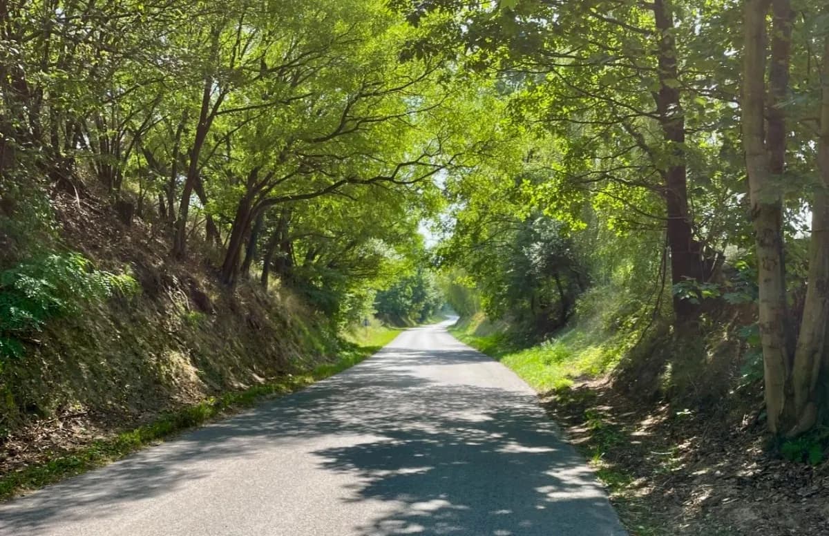 Najlepsze trasy motocyklowe w Lubelskiem – odkryj ukryte skarby